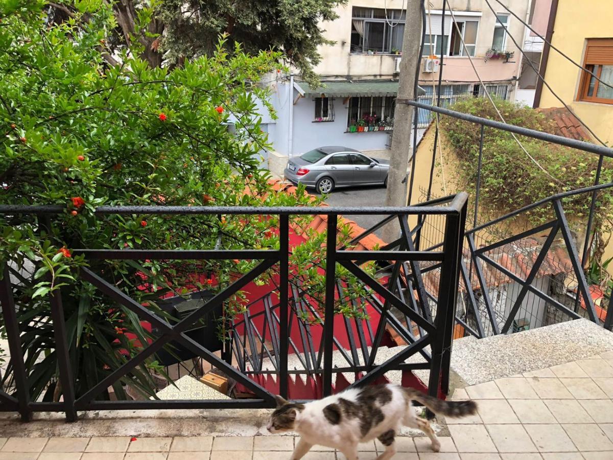 Red Goat * Tirana